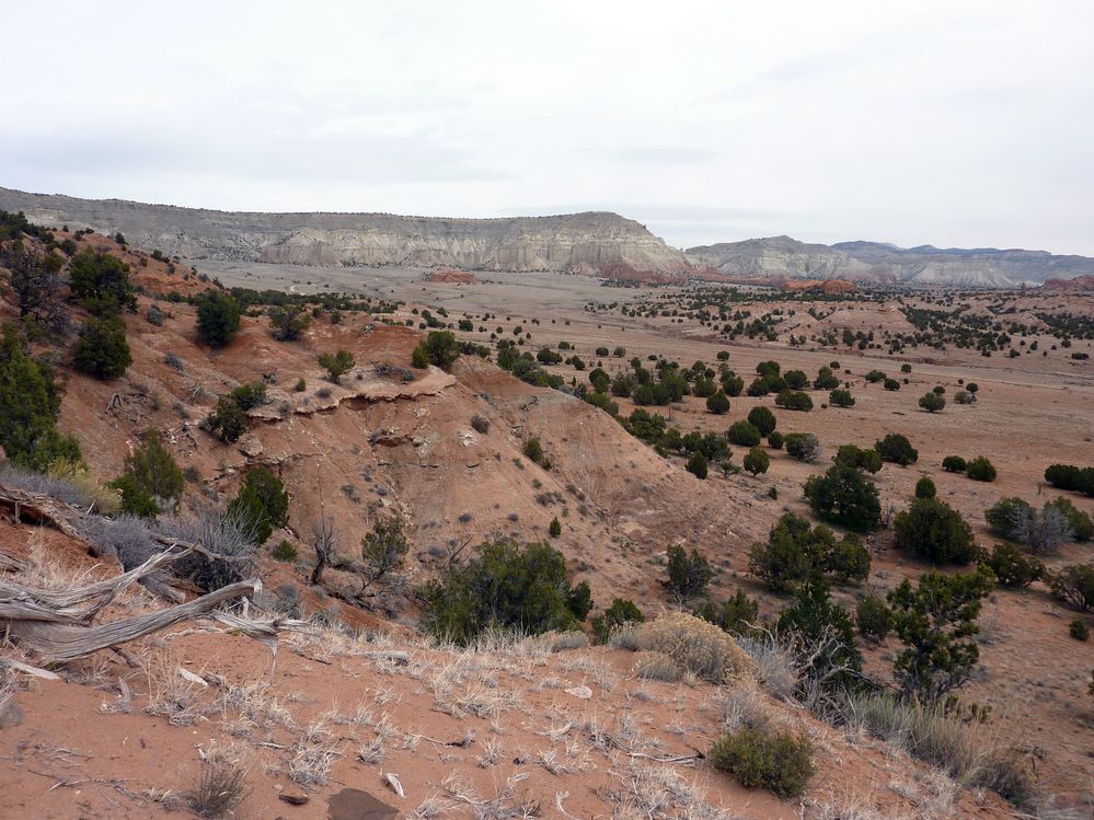 kodachrome basin (23).JPG